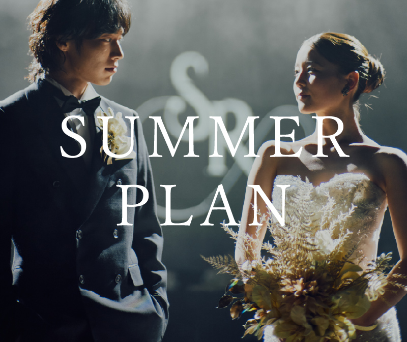 SUMMER PLAN