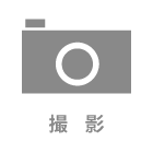 データ50カット