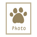 席札にペット写真